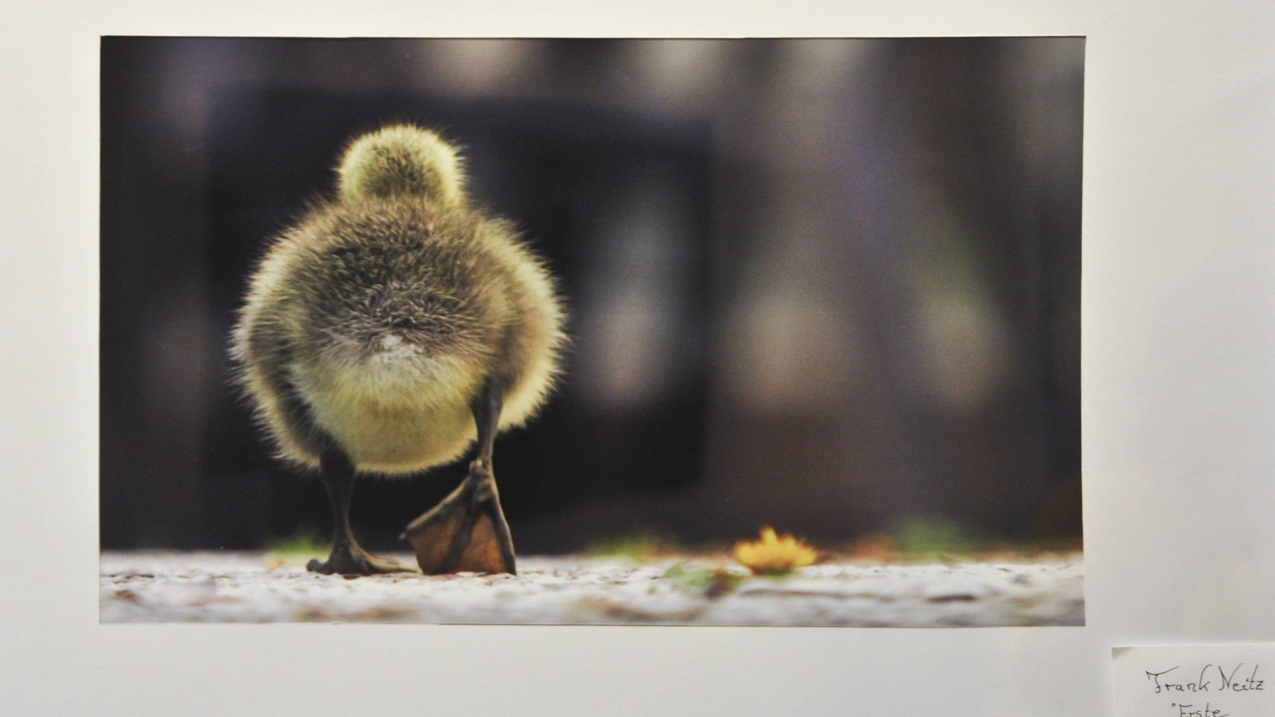 praxisrundgang_slider_3