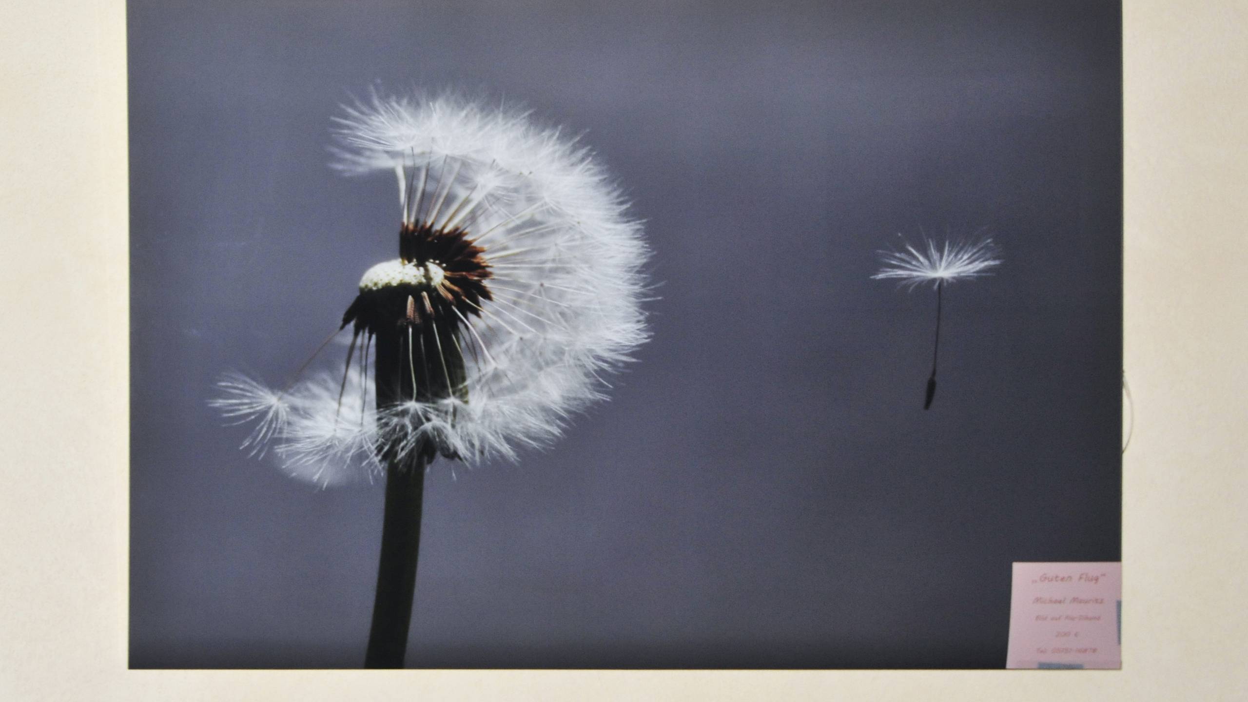 praxisrundgang_slider_4